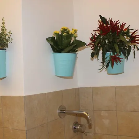 Shelley Casa de hóspedes 3*