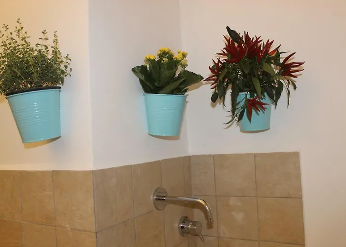 Shelley Гостевой дом 3*